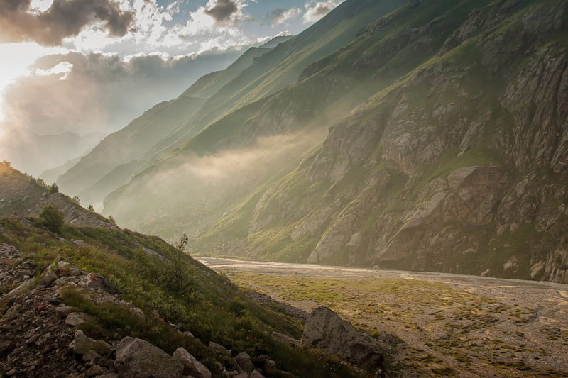 pictures of mountains covered in evergreen trees